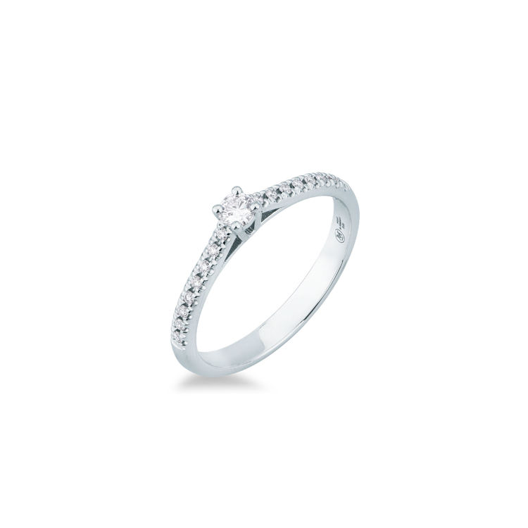 Picture of Solitaire ring with diamonds in white gold